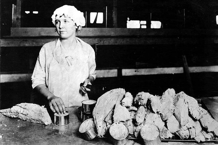 Seorang pekerja pengalengan mengisi kaleng tuna di Long Beach, California, Amerika Serikat, sekitar tahun 1930