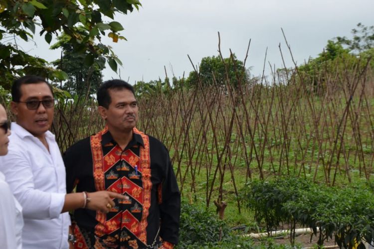 Direktur Jenderal Hortikultura Kementerian Pertanian, Suwandi (pakai baju hitam) bersama dua orang dari anggota Komisi IV DPR RI berkunjung ke lokasi pengembangan kawasan cabai di Kelompok Tani Maju Mandiri di Kelurahan Setokok, Kecamatan Bulang, Kota Batam, Riau, Kamis (1/11/2018).