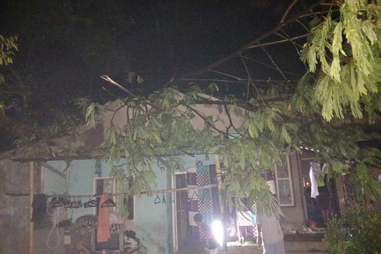 Sebuah rumah di Desa Palasari, Kecamatan Cijeruk, Kabupaten Bogor, rusak tertimpa pohon tumbang akibat diterpa hujan lebat disertai angin kencang, Kamis (9/11/2023) pukul 18.00 WIB.