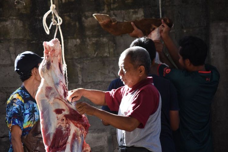 Ilustrasi- Pemotongan daging hewan kurban.