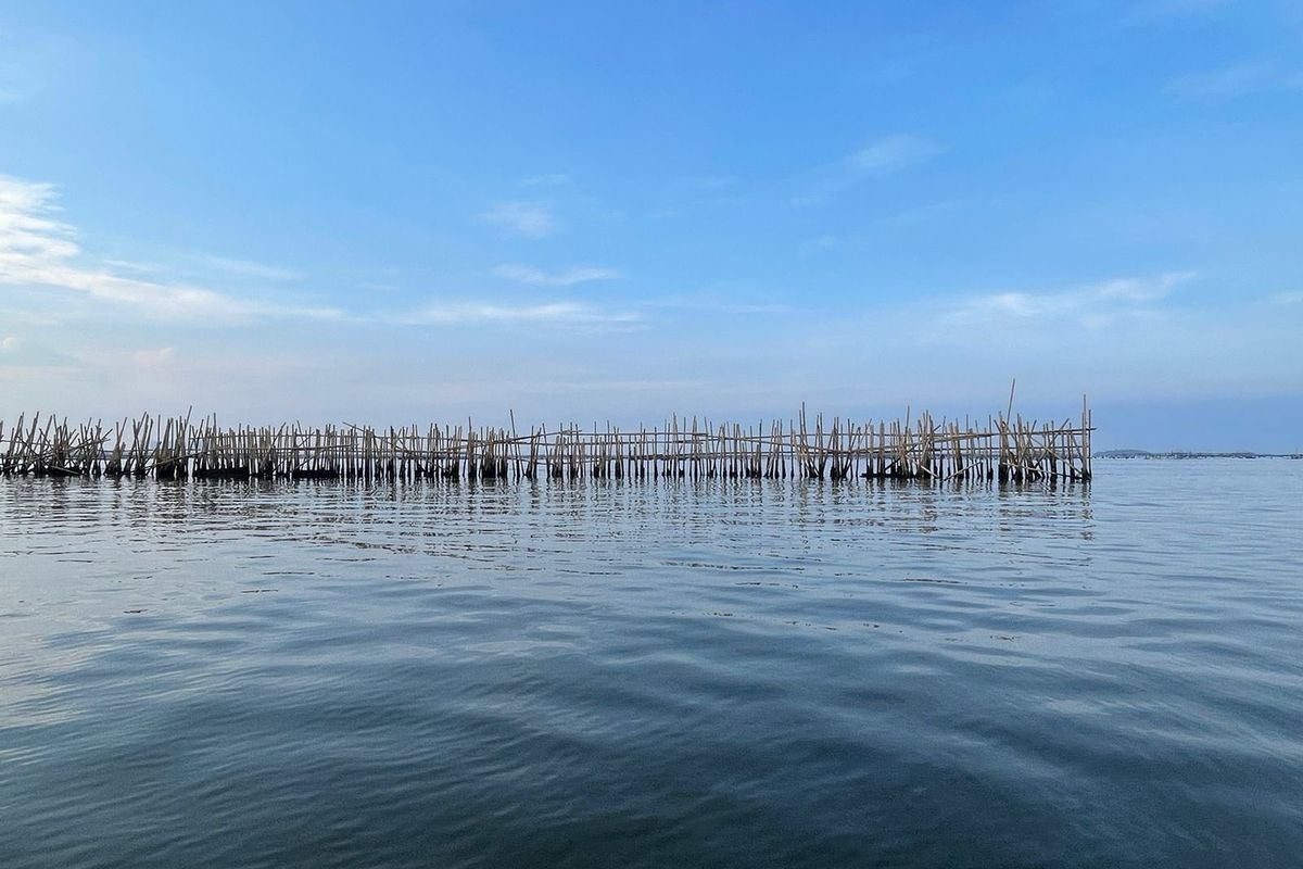 Pagar Laut di Pulau C Jakarta Utara Terpasang Sepanjang 500 Meter 