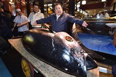 Termahal Sedunia, Seekor Ikan Tuna Terjual Rp 44,9 Miliar