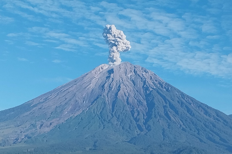 4 Pendaki Ilegal Gunung Semeru Diamankan, 1 Orang Cedera Tertinggal Dievakuasi