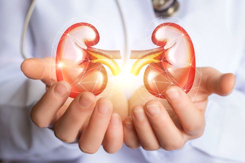 Makna Tema Hari Ginjal Sedunia 2021: Living Well with Kidney Disease