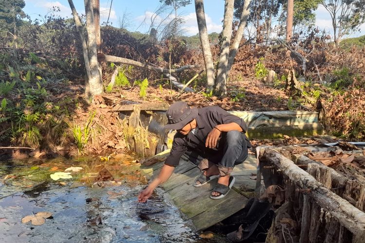 Kondisi sekat kanal di Desa Sungai Beras, Kecamatan Mendahara Ulu, Tanjung Jabung Timur, Jambi, yang terhubung ke hutan lindung gambut Sungai Buluh, Rabu (13/9/2023). Hutan lindung terakhir ini mengalami tekanan berat krisis air dan kebakaran ketika musim kemarau.