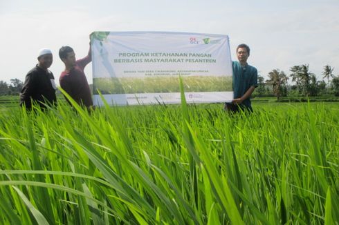 Bina 25 Kepala Keluarga, Dompet Dhuafa Kembangkan Program Ketahanan Pangan Desa