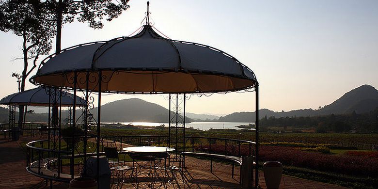 Silver Lake Winery di sebelah timur kota Pattaya, Thailand, ini menghadirkan suasana tenang dengan pemandangan kilang anggur yang indah. 