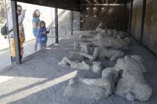 Bagaimana Letusan Gunung Vesuvius Menyebabkan Kematian Orang Pompeii?