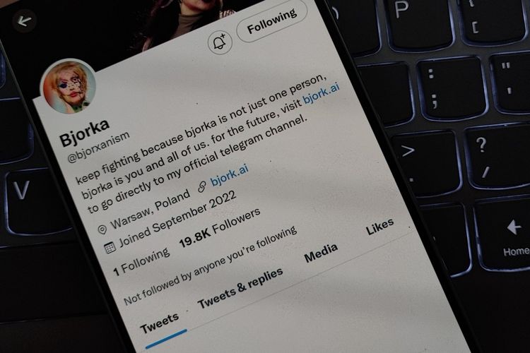 Tangkapan layar akun Twitter kedua Bjorka dengan handle @bjorxanism. Kini akun tersebut sudah terkena suspended atau ditangguhkan oleh Twitter.