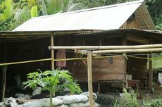 Tambang Emas di Dalam Gubuk Sudah Beroperasi 7 Bulan, Pekerjanya dari Luar Desa