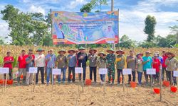 Atasi Darurat Pangan, Kementan Laksanakan Program Tanam Padi Gogo di Kabupaten Kediri