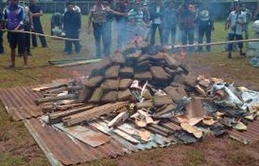 Polisi Bakar Ganja 3,3 Ton, Warga Palmerah Pusing