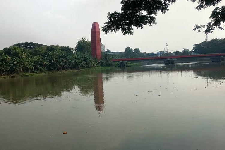 Ikan Mengapung dan Bergerak Tak Normal di Cisadane, Ini Penjelasan DLH Tangerang