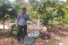Kronologi Ibu di LampungTewas Tersengat Listrik Jerat Babi Hutan, Polisi Ungkap Kondisinya
