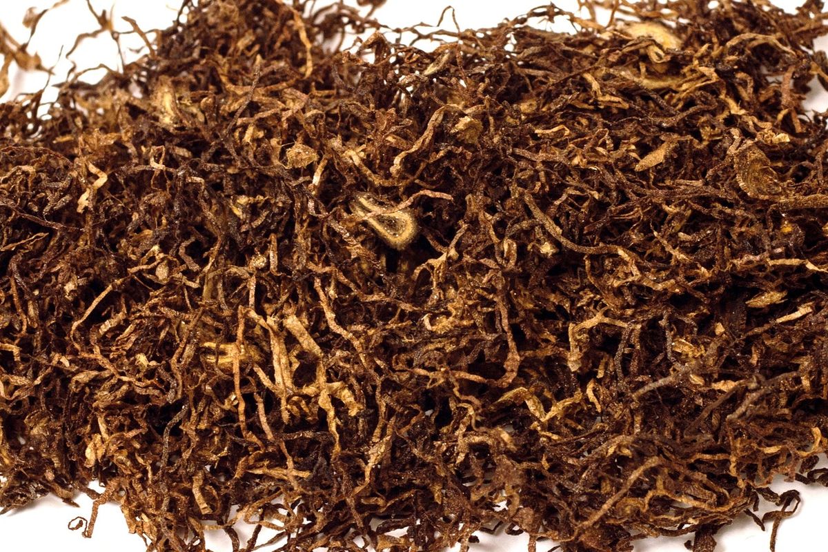 Ilustrasi daun tembakau kering.