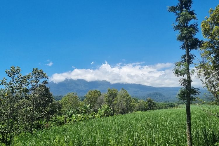 Gunung Raung tertutup oleh awan dipantau dari PPGA Raung di Banyuwangi.
