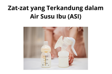 Zat- zat yang Terkandung dalam Air Susu Ibu (ASI)