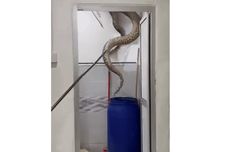 RI Komitmen Dorong Sistem Perdagangan Internasional Adil dan Inklusif