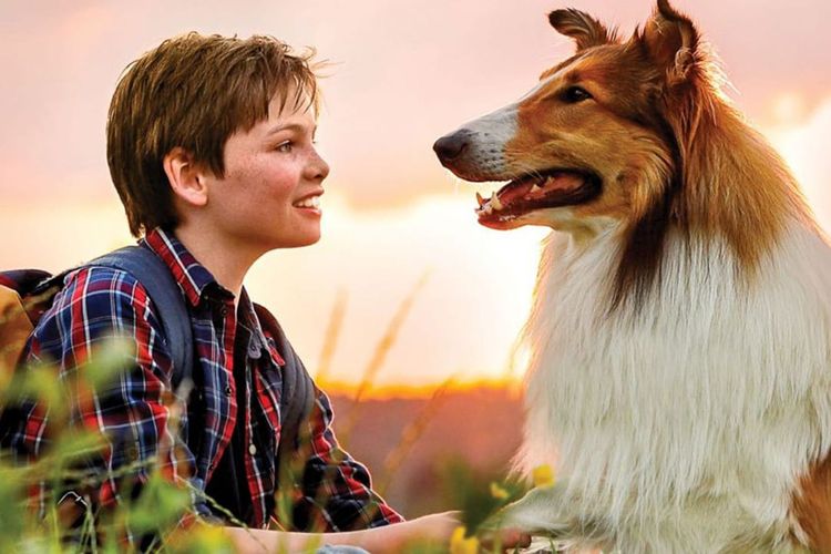 Cuplikan film Lassie Come Home (2020)