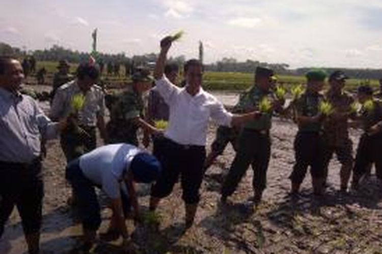Menteri Pertanian Andi Amran Sulaiman, saat tanan benih padi di Desa Ngebruk, Kecamatan Sumberpusung, Kabupaten Malang, Kamis (26/2/2015).