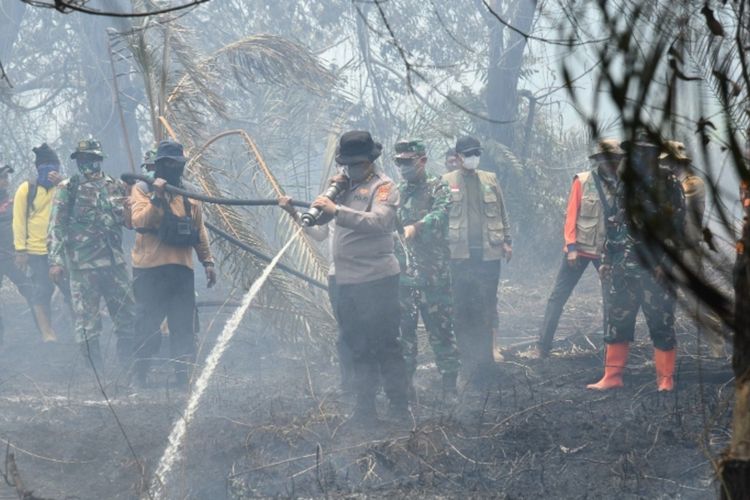 Pelaku Karhutla di Bengkalis Diringkus, Diduga Kuasai Hutan Negara Secara Ilegal dan Bakar 35 Hektare Lahan