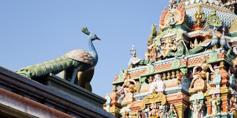  Kapaleeshwarar Temple, Mylapore, Chennai, Tamil Nadu, India 