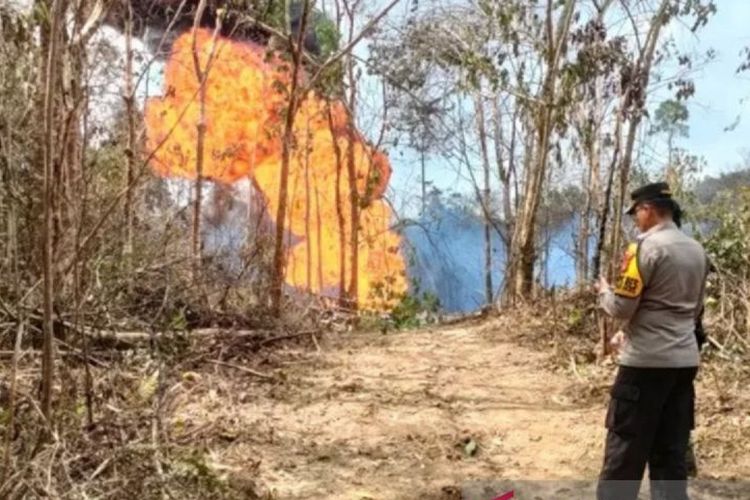 Lokasi sumur minyak ilegal yang terbakar di di kawasan hutan lindung Taman Hutan Rakyat (Tahura) Sultan Thaha Saifuddin, Kabupaten Batanghari, Jambi, yang terjadi pada Jumat (9/2/2024) malam. 