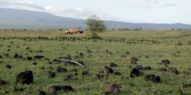 Bak Safari Di Afrika Van Sumbawa Halaman All Kompas Com