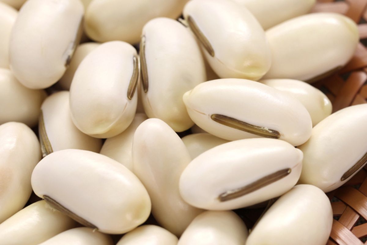 Ilustrasi kacang koro pedang. 