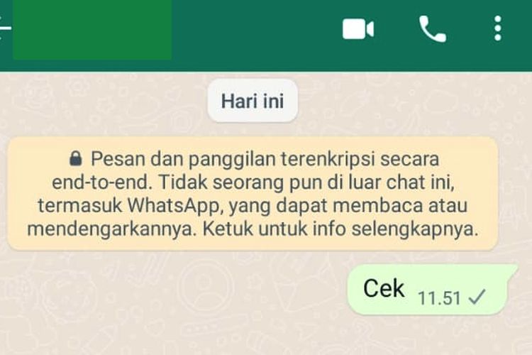 Ilustrasi tanda centang satu di WhatsApp.