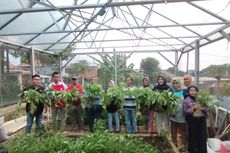Jaga Ketahanan Pangan, Pemkot Semarang Dorong Pemanfaatan Lahan Tidur untuk “Urban Farming”