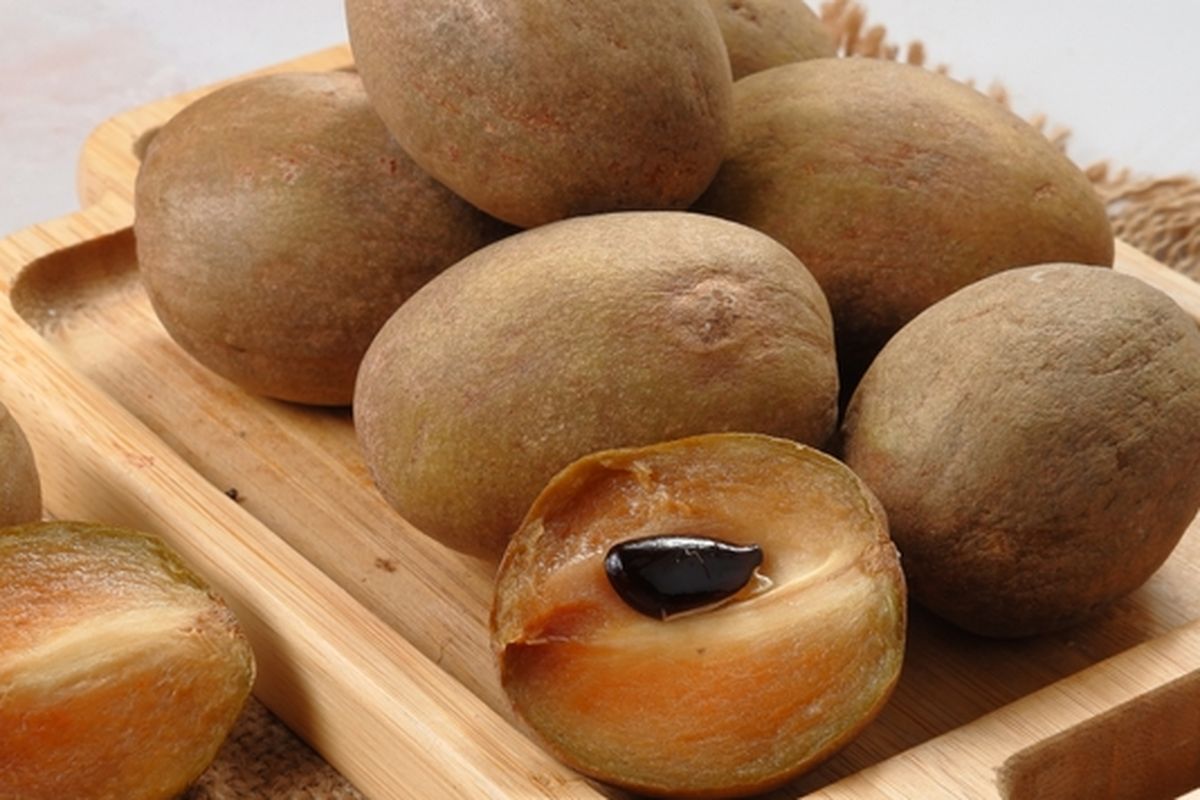 Ilustrasi buah sawo.