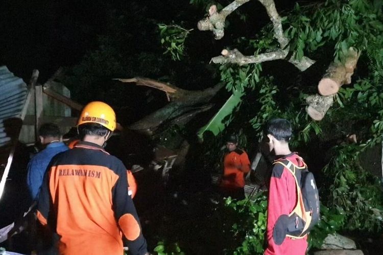 Petugas dan relawan sedang mengevakuasi pohon tumbang yang menimpa sebuah warung di kawasan wisata Petirtaan Jolotundo, Minggu (14/11/2021) malam.