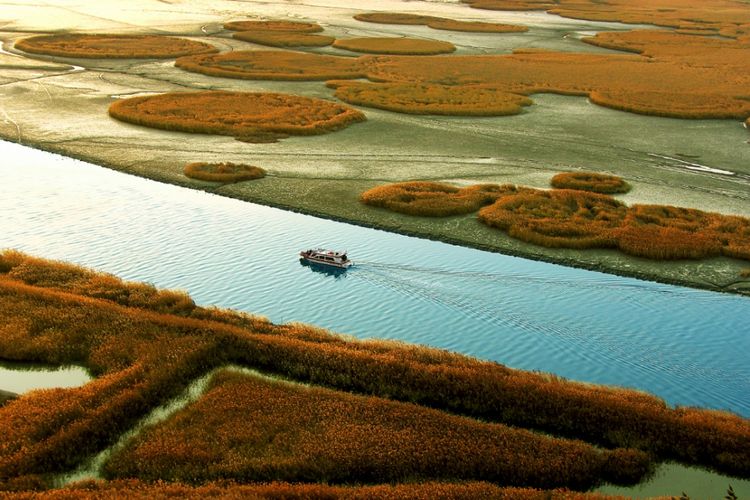 Suncheonman bay di Jeollanamdo, Korea Selatan.