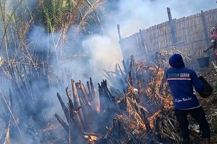 Kebakaran Kebun Nipah di Indramayu Nyaris Bikin Rumah Warga Dilahap si Jago Merah