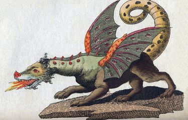 Ilustrasi naga bersayap dan bernafaskan api oleh Friedrich Justin Bertuch dari 1806