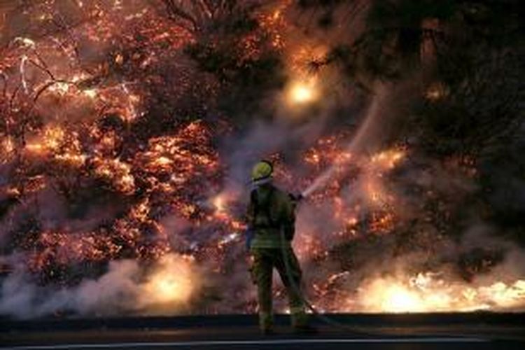 Seorang petugas pemadam kebakaran sedang berjuang mengendalikan api yang membakar sebagian wilayah Taman Nasional Yosemite, California, AS. 