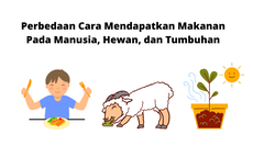 Perbedaan Cara Mendapatkan Makanan Pada Manusia, Hewan, dan Tumbuhan