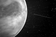 Asteroid Misterius di Orbit Venus: Ancaman Tersembunyi bagi Bumi?