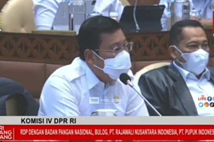 Kepala Bapanas Arief saat rapat dengan Komisi IV DPR RI, Rabu (16/11/2022). (Tangkapan layar)
