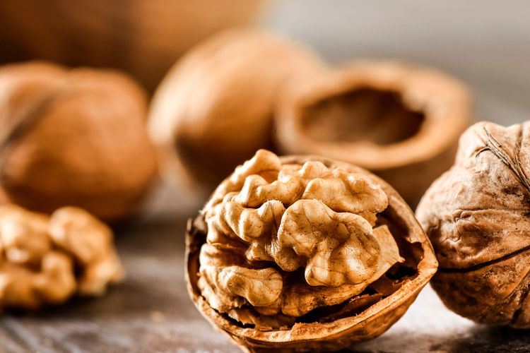 Ilustrasi walnut alias kacang kenari