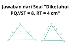 Jawaban dari Soal "Diketahui PQ//ST = 8, RT = 4 cm"