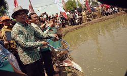 Pemdaprov Jabar Kikis Ketimpangan Digitalisasi dengan Desa Digital 