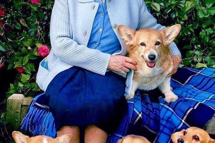 Ratu Elizabeth bersama anjing kesayangannya.