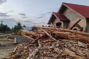 Update BNPB: Korban Meninggal Banjir Sumatera Capai 908 Orang