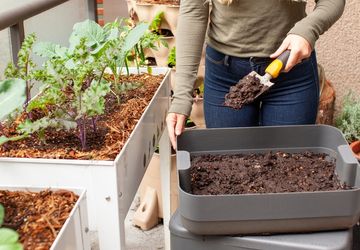 Mudah, Begini Cara Membuat Biodikomposer dari Bonggol Pisang