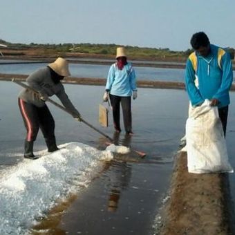 Petani garam Kota Pasuruan berharap musim panas lebih dari 6 bulan agar garam mereka lebih berkualtias dan melimpah.