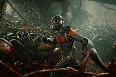 Animator Indonesia Ikut Bikin Film Ant Man