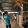 Dari Mustahik ke Muzaki, Program Kurban BAZNAS 2026 Ubah Nasib Peternak Desa