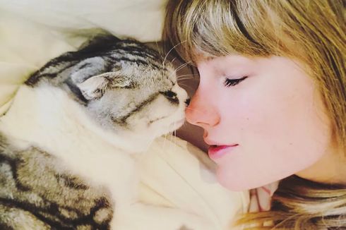 Taylor Swift dan Kisah Tiga Kucingnya; Benjamin Button, Olivia dan Meredith
